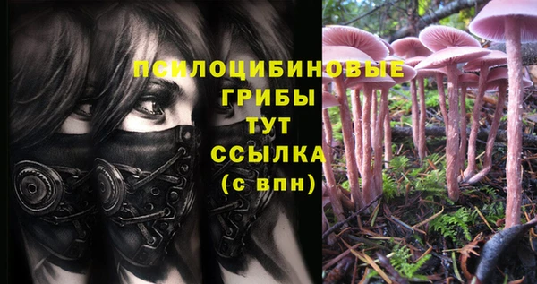 таблы Армянск