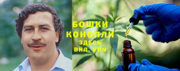 спайс Аркадак