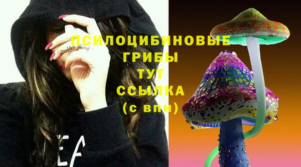 эйфоретик Арсеньев