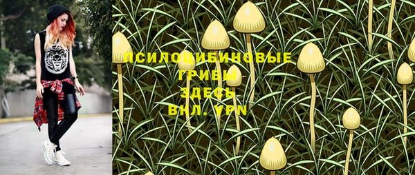 таблы Армянск