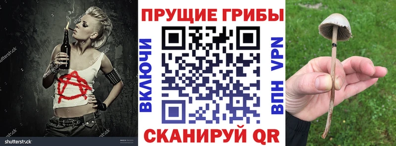 купить Полярные Зори Псилоцибиновые грибы GOLDEN TEACHER